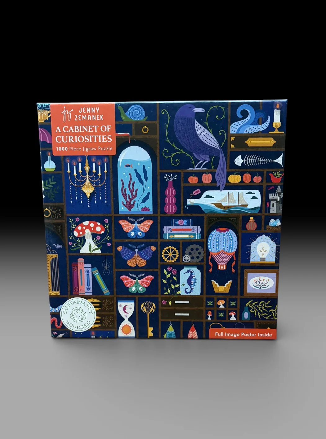 A Cabinet of Curiosities